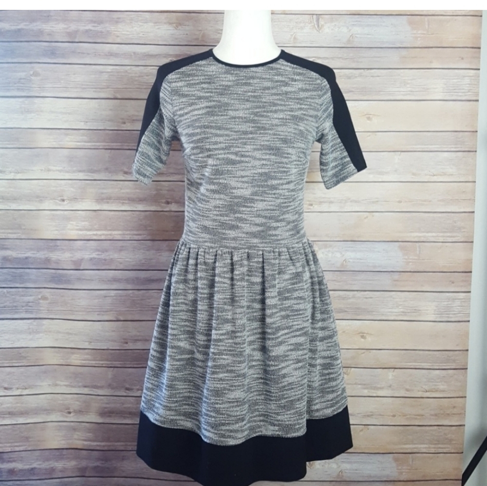LOVE ADY Stylish Gray and Black Womens  Juniors  Dress